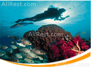 Amphoras Holiday Resort 37